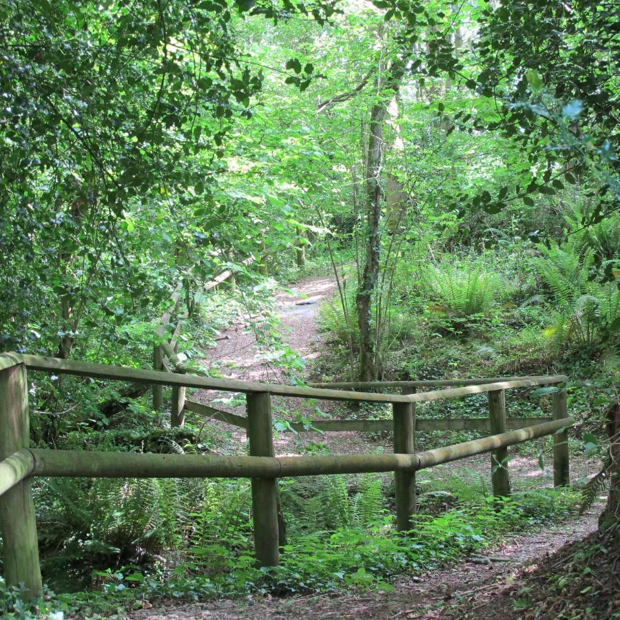 Castle Brake Holiday Park Exeter Esterno foto
